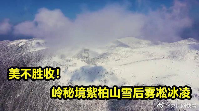 探索语言暴力对婚姻的危害有多大?,加入知识星球,进阶快人一步