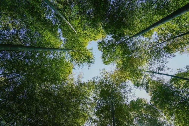 幻想纹章2.1