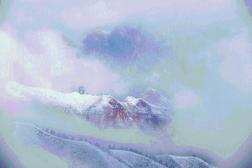 照顾小兔宝宝
