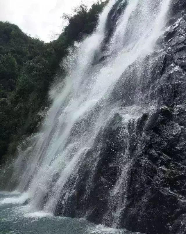 逃离倒影森林